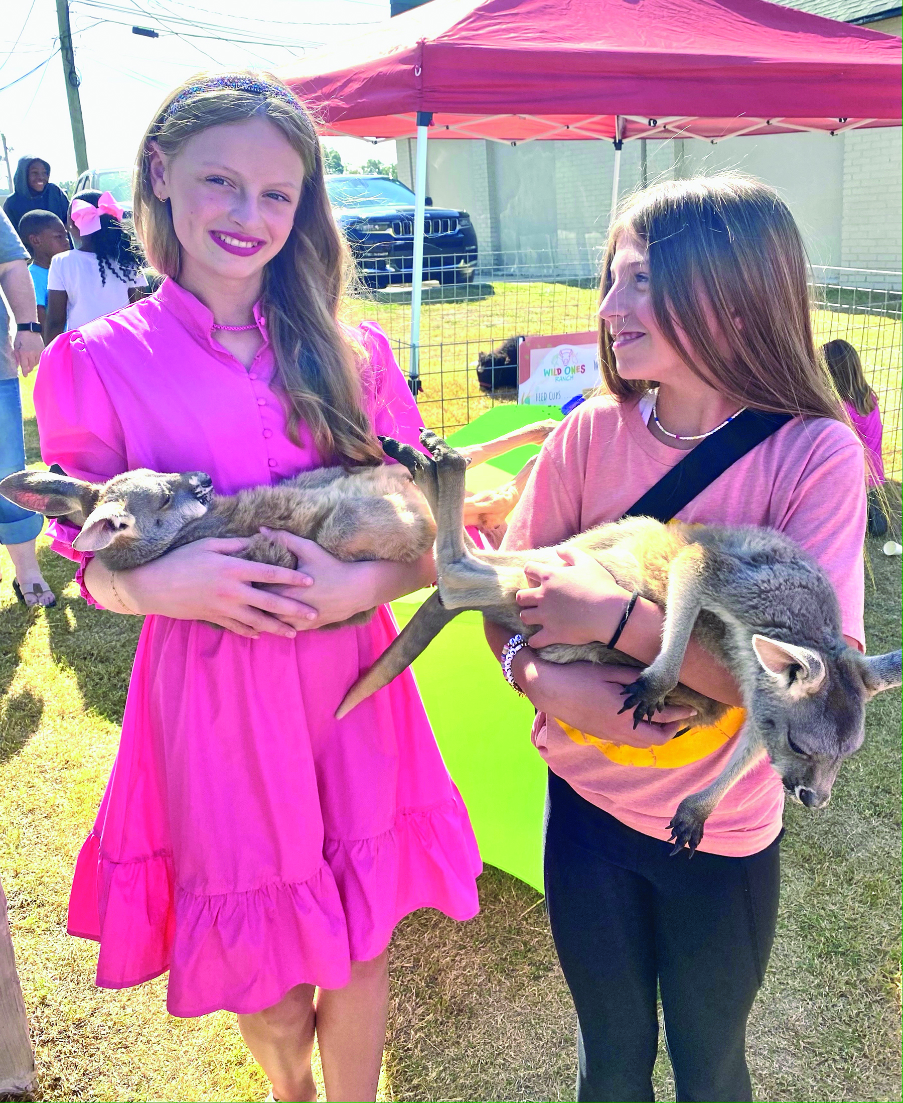 DJA Fall Fest 2023